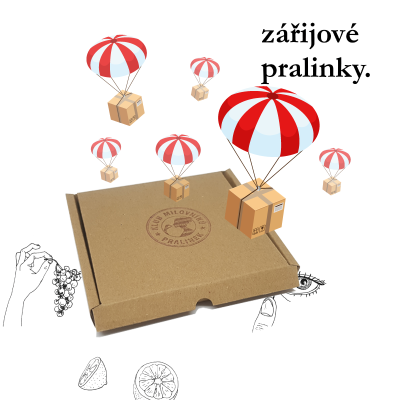 Zijov pralinky odeslny